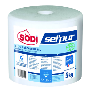 BLOC SEL pur 5kg