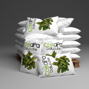 Costalfa Dailycube palette 40 sacs de 25 kg