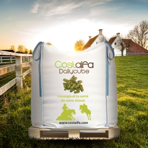 Costalfa Dailycube Big Bag 1000kg