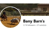 BANY BARNS